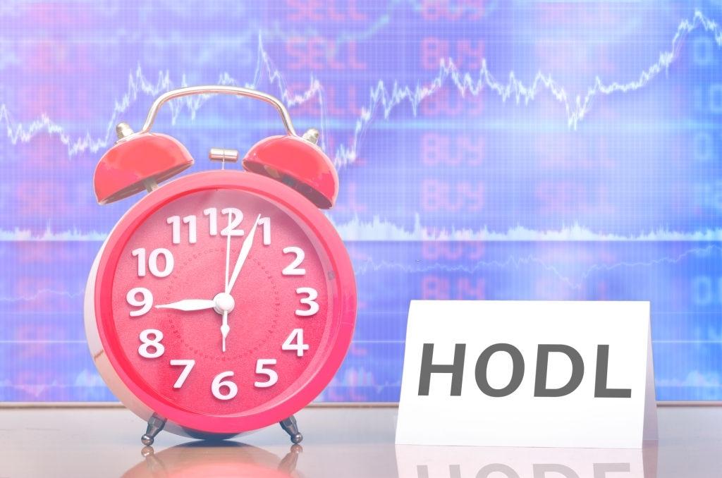 Gambar HODL: Asal Usul dan Keuntungannya