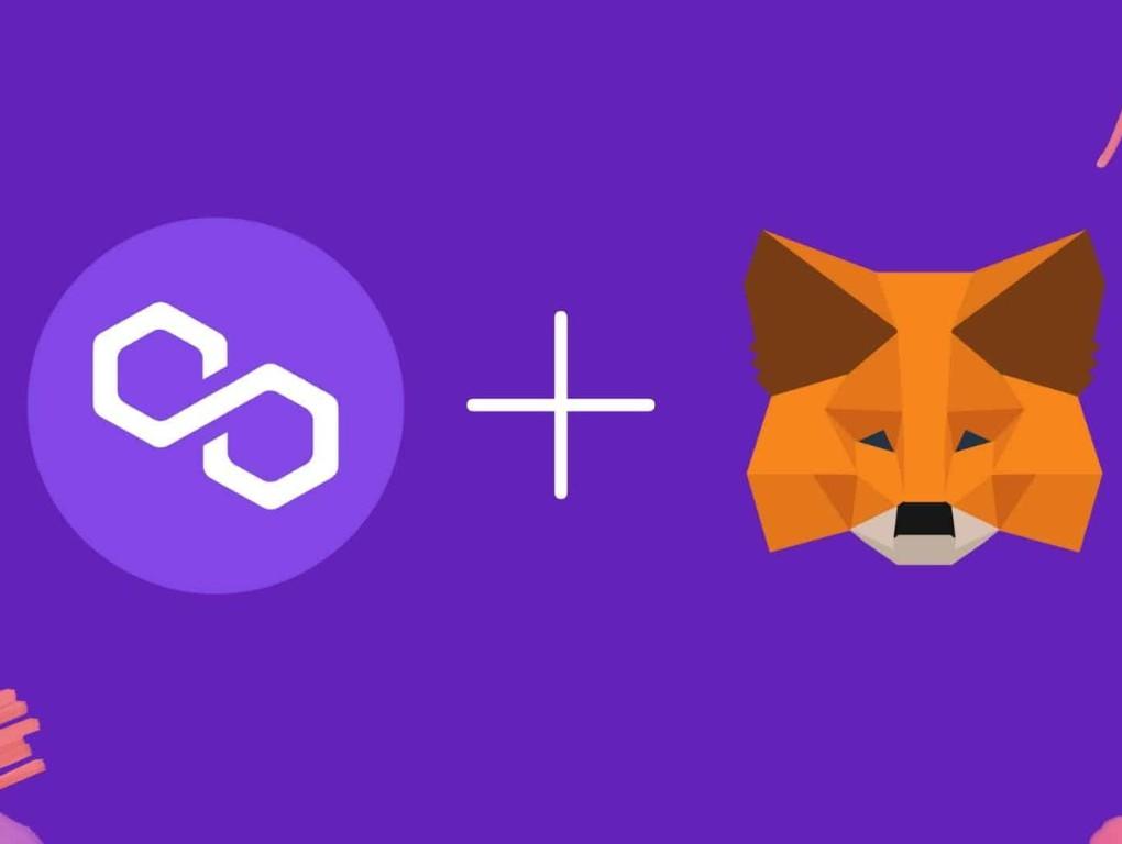 Gambar 6 Cara Menambahkan Jaringan Polygon di MetaMask, Mudah!