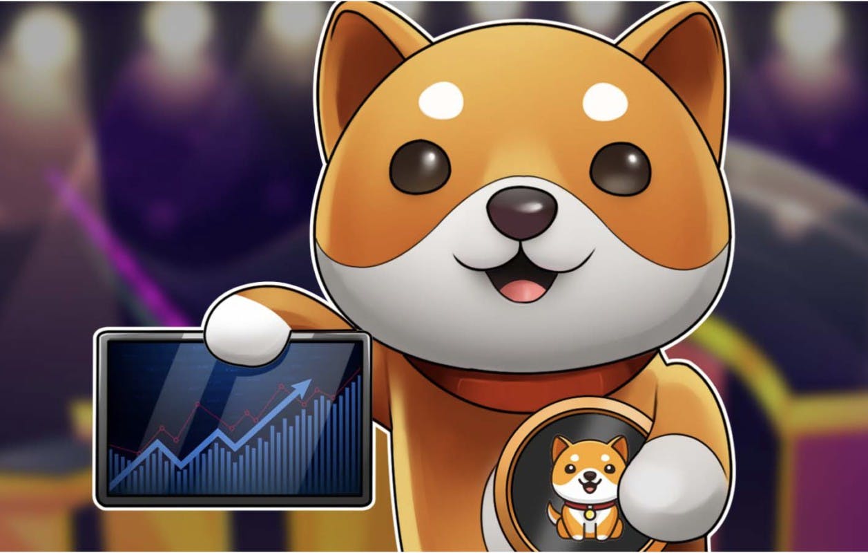 Gambar Terungkap! Rahasia di Balik Fenomena Baby Doge Coin