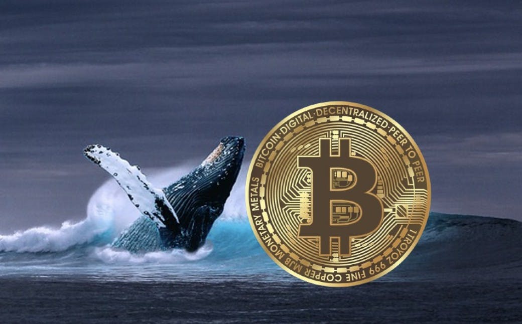 Gambar Bitcoin Whale Borong 71.000 BTC di Tengah Penurunan, Rebound Segera Terjadi? (15/7/24)