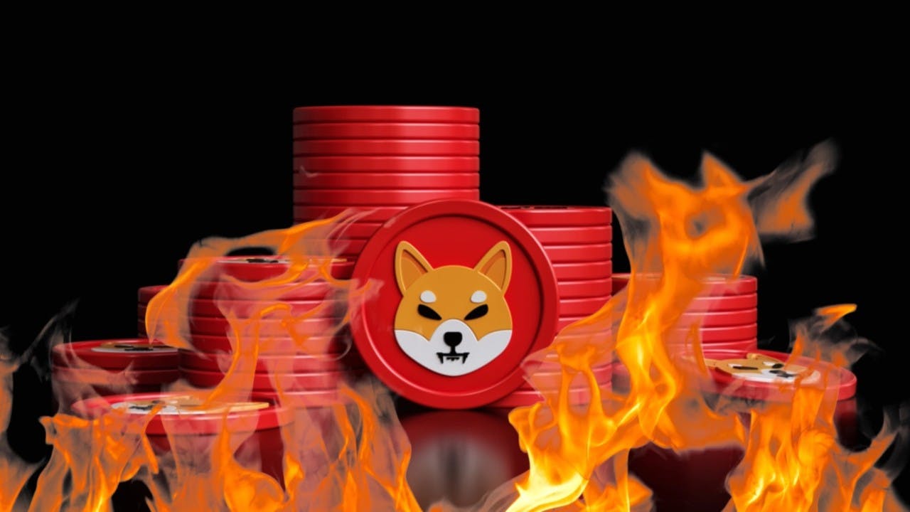 Gambar Shiba Inu Menggila! Burn Rate Melonjak 400%, Harga SHIB Siap Tembus $0,001?