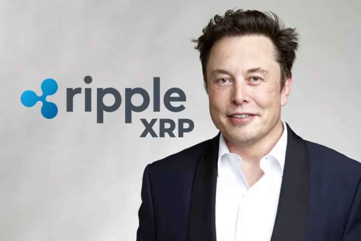 Gambar XRP dan DOGE Bersemangat dengan Pesan Elon Musk di X, Ini Katanya!