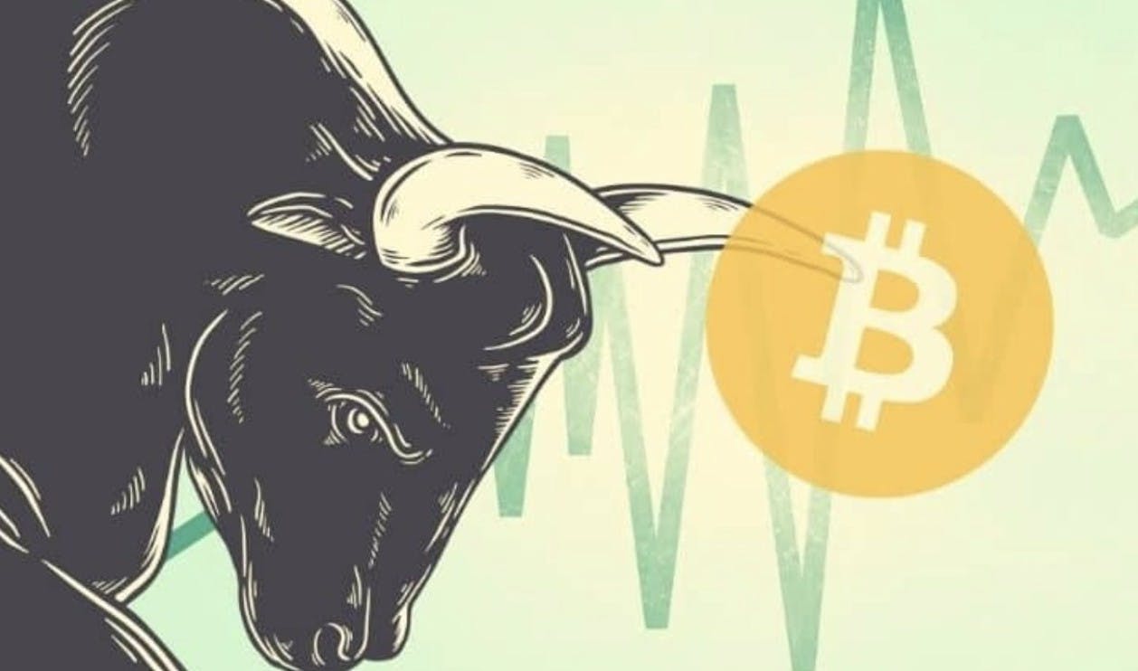 Gambar 5 Koin Crypto yang Potensial Dibeli Sebelum Bull Market Dimulai 2024: Apa Saja?