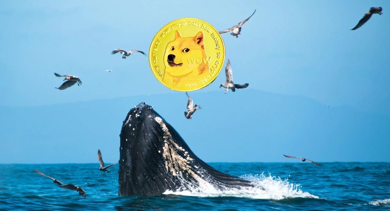 Gambar Dogecoin Whale Berburu Koin Meme 1000x, Pepe Unchained dan Mpeppe Jadi Incaran!