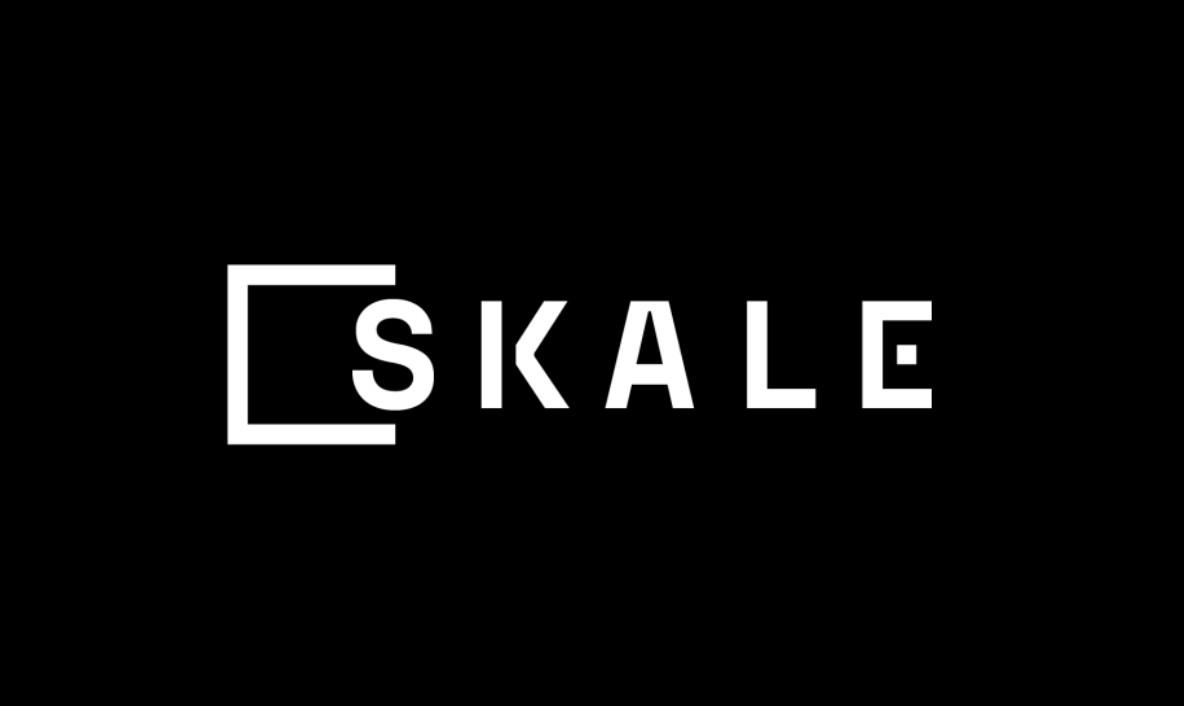 Gambar Harga Skale Network (SKL) Meroket 60% dalam Waktu 24 Jam, Apa yang Terjadi?