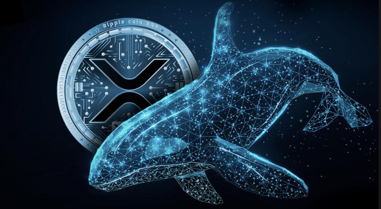 Gambar XRP Siap Meroket? Analisis Pergerakan Harga dan Aktivitas Whale Juni 2024!