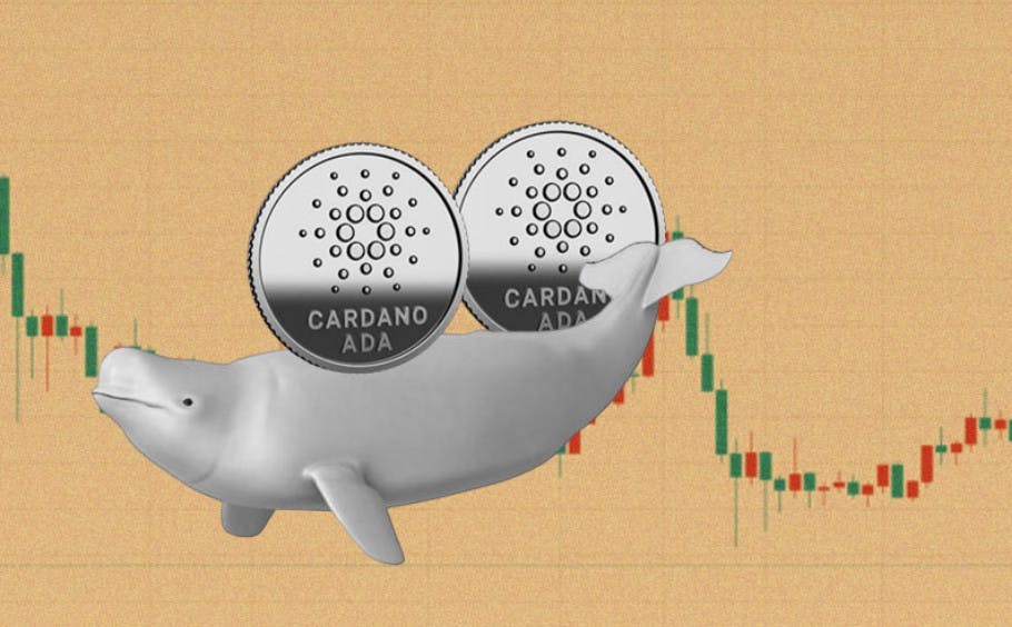 Gambar Cardano (ADA) Meroket 17%: Cardano Bersiap Lakukan Upgrade Chang!