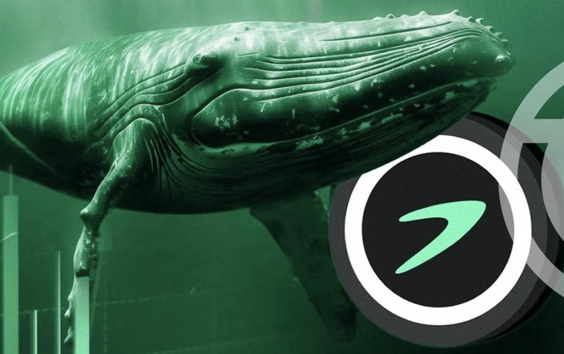 Gambar Kapitalisasi Pasar Tellor (TRB) Melonjak 70% di Tengah Meningkatnya Aktivitas Whale Kripto!