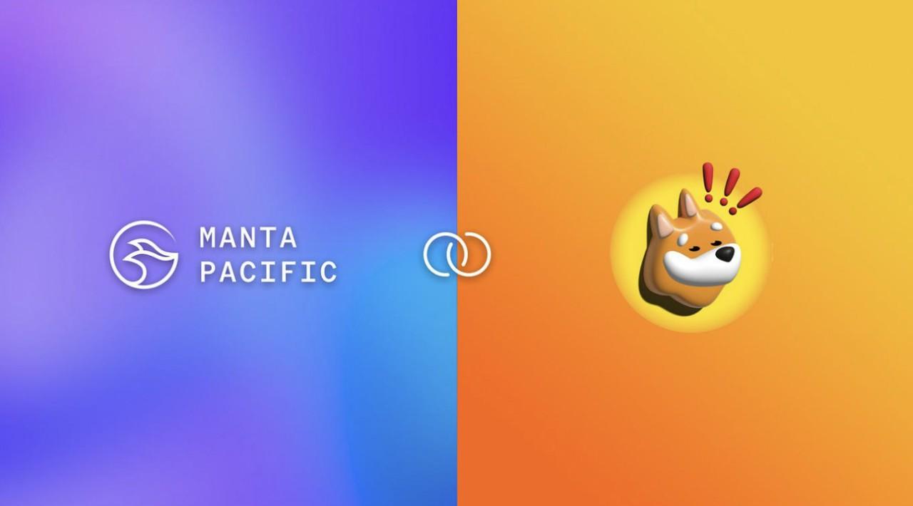 Gambar Meme-ta Szn: Manta Network dan BONK Siap Membakar Ruang Web3!